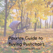 pushchair guide