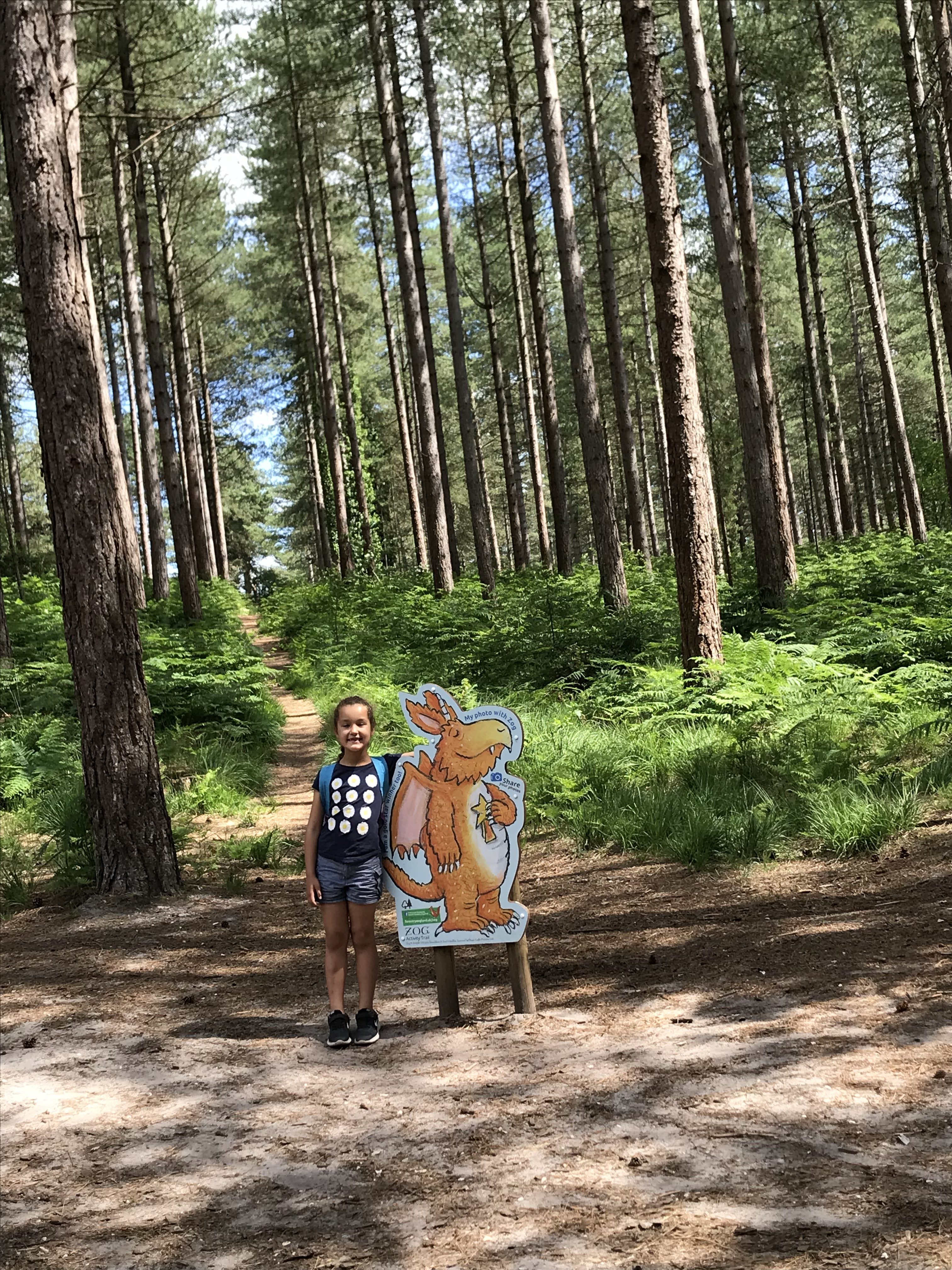 Free and Cheap Days Out Hampshire