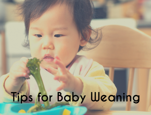 baby weaning