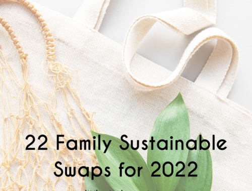 sustainable swaps